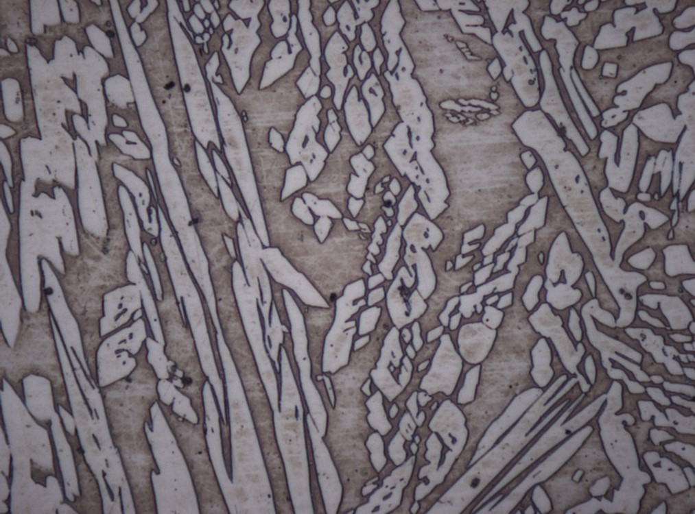 Field Metallurgical Replication (FMR)